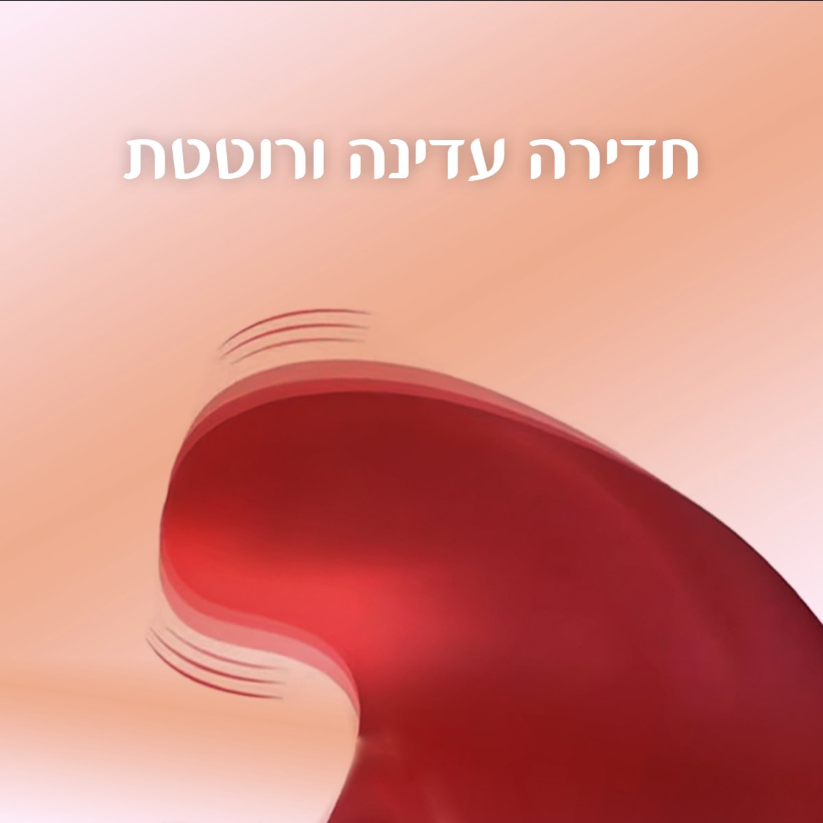 מלודי - הוא יגרום לך לשיר