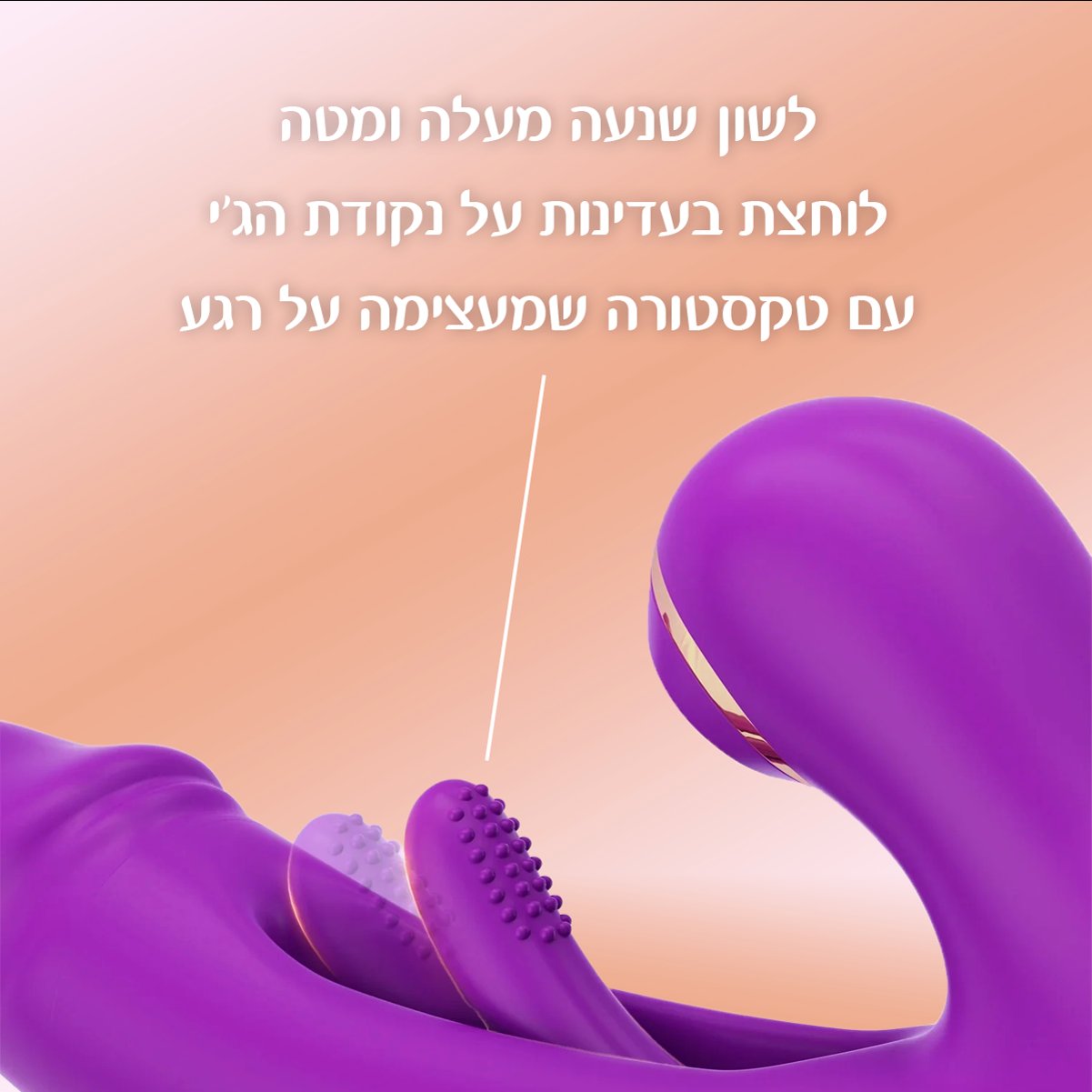באני – ריגוש משולש